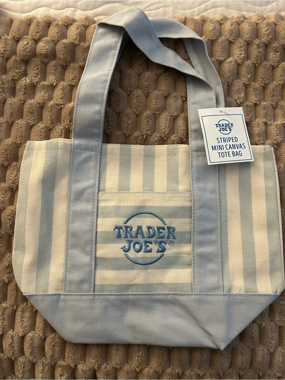 Trader Joe's Blue and Cream Striped Mini Canvas Tote
